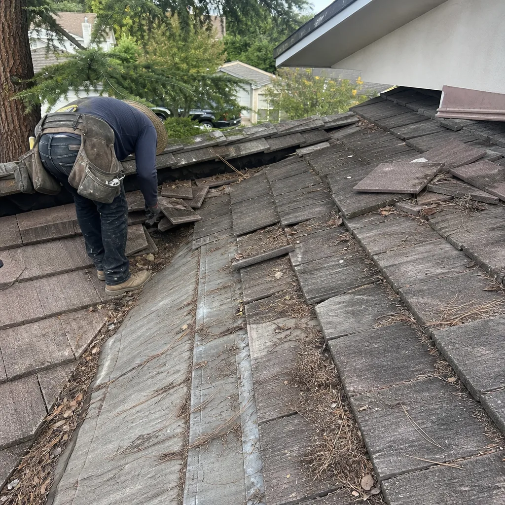 Before - Recent Project